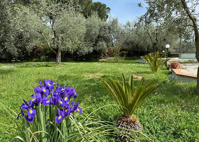 La Piccola Provenza