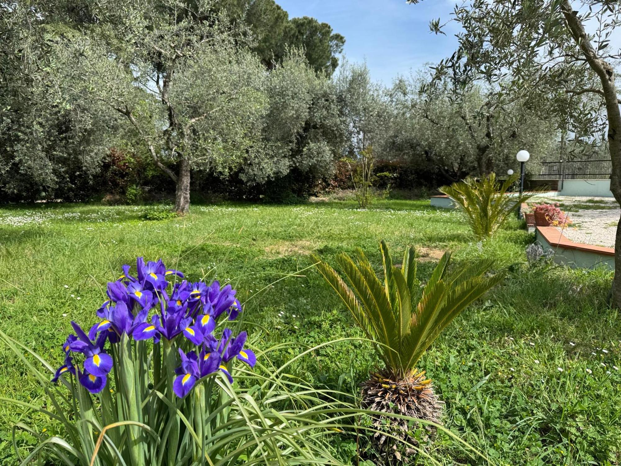 Villa La Piccola Provenza *
